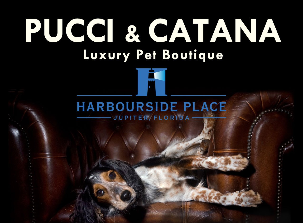Harbourside-Place-Pucci-Catana-Grand-Opening