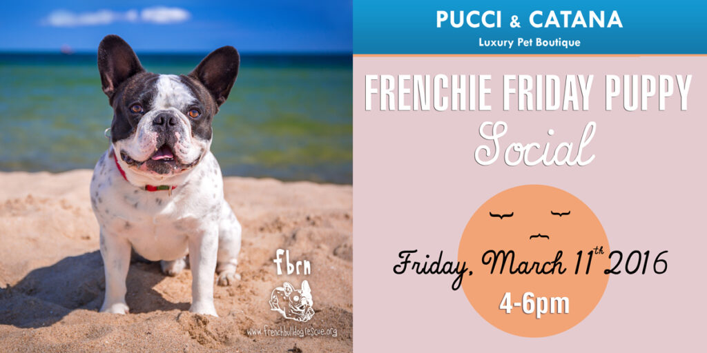 Frenchie Friday Puppy Social Harbourside Place