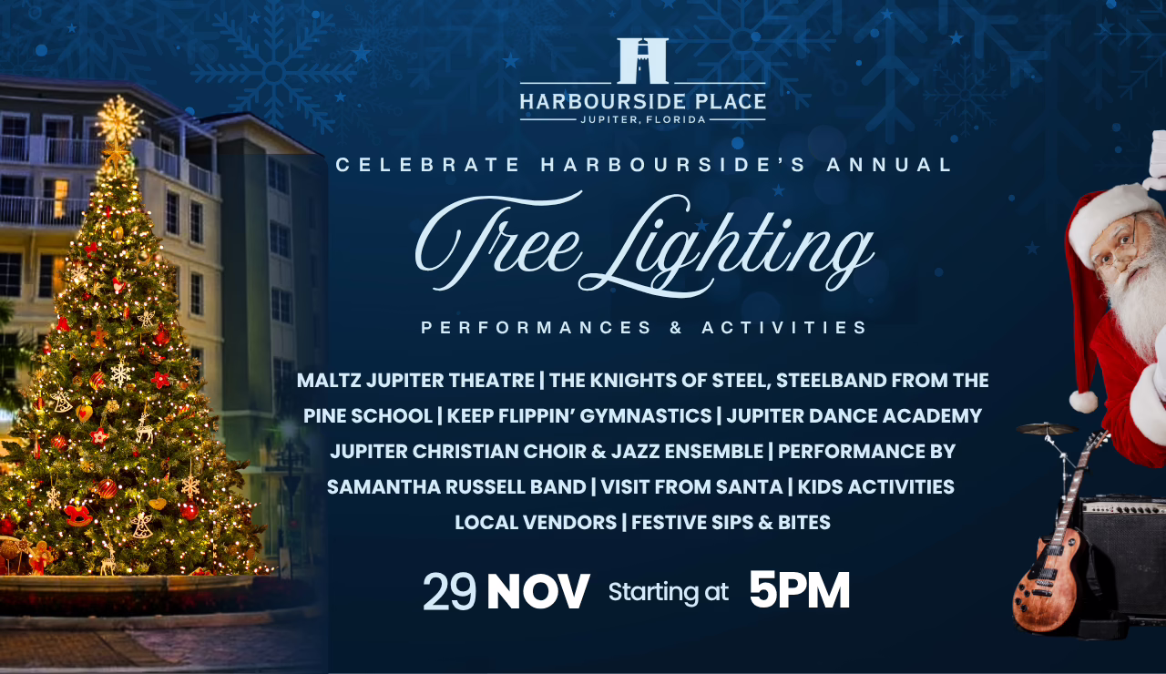 HS Tree Lighting TV Display (1)